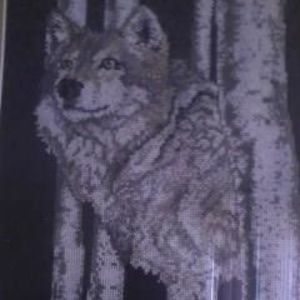 Meet your Posher, Katrina